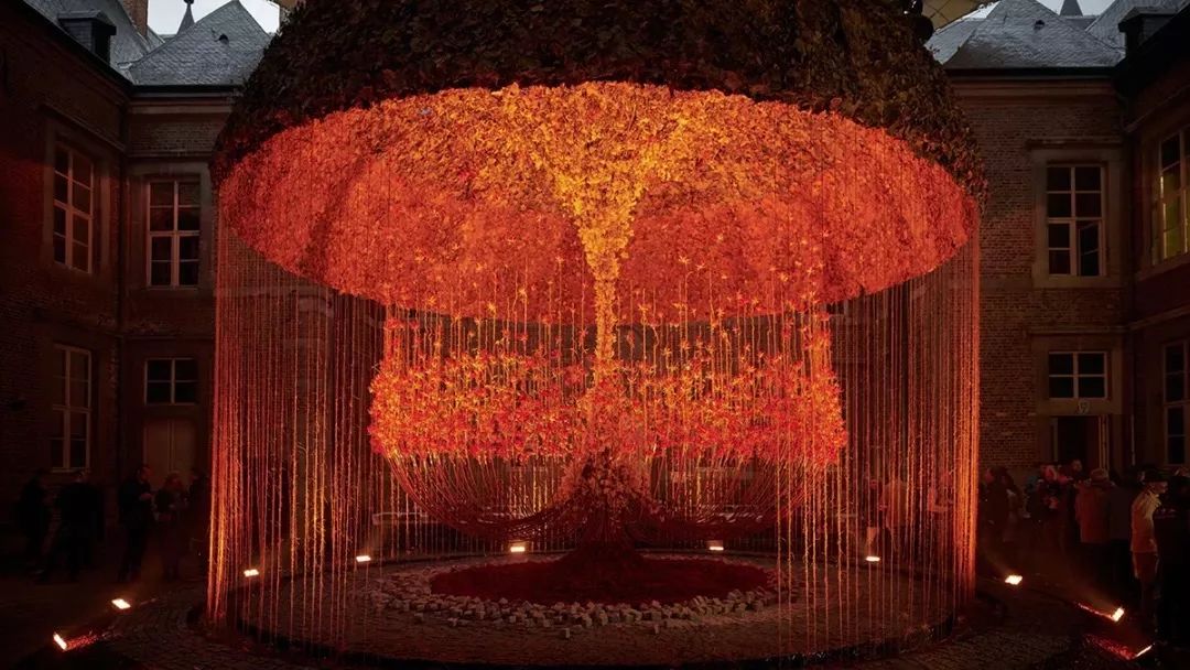 麻宁推荐|中国最时尚的未来花世界，拍照太出片了！