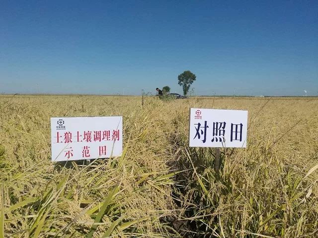 盐碱地土壤改良剂有哪些,盐碱地治理剂