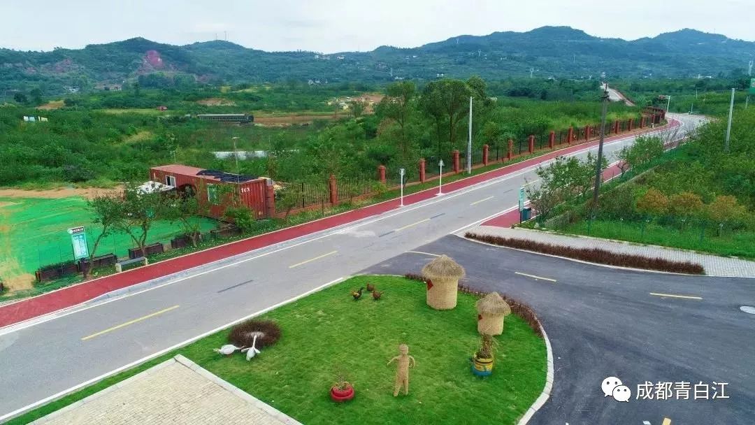 青白江健身训练营,八月健身馆