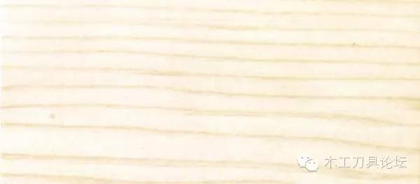 识别木材优劣家居人必备基本功,木材识别基础知识