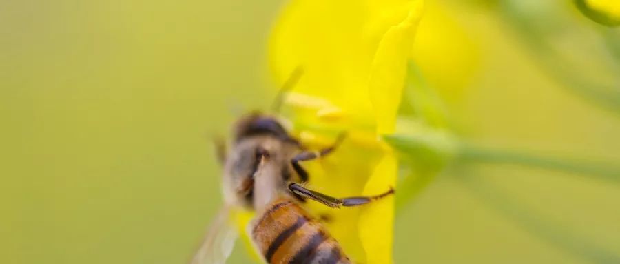 胸壁疼痛怎么缓解,胸壁疼痛部位对照表