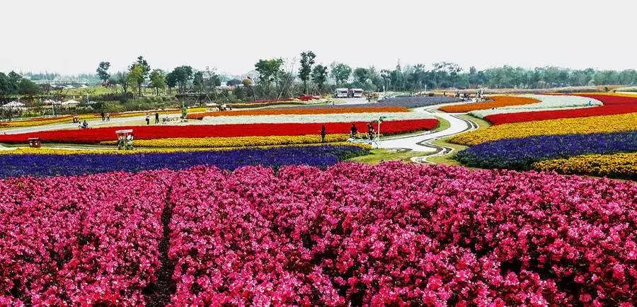 城事指南,浦东区旅游攻略