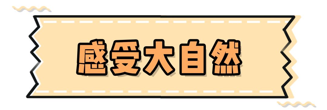 亲子游必去的10个行程,超全旅行攻略