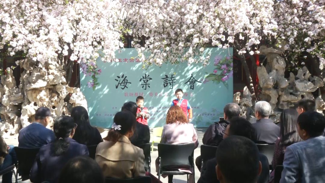 清明节正定赏花游攻略,正定清明踏青好去处