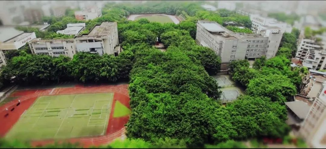 谈重庆南开中学,重庆有几所南开中学