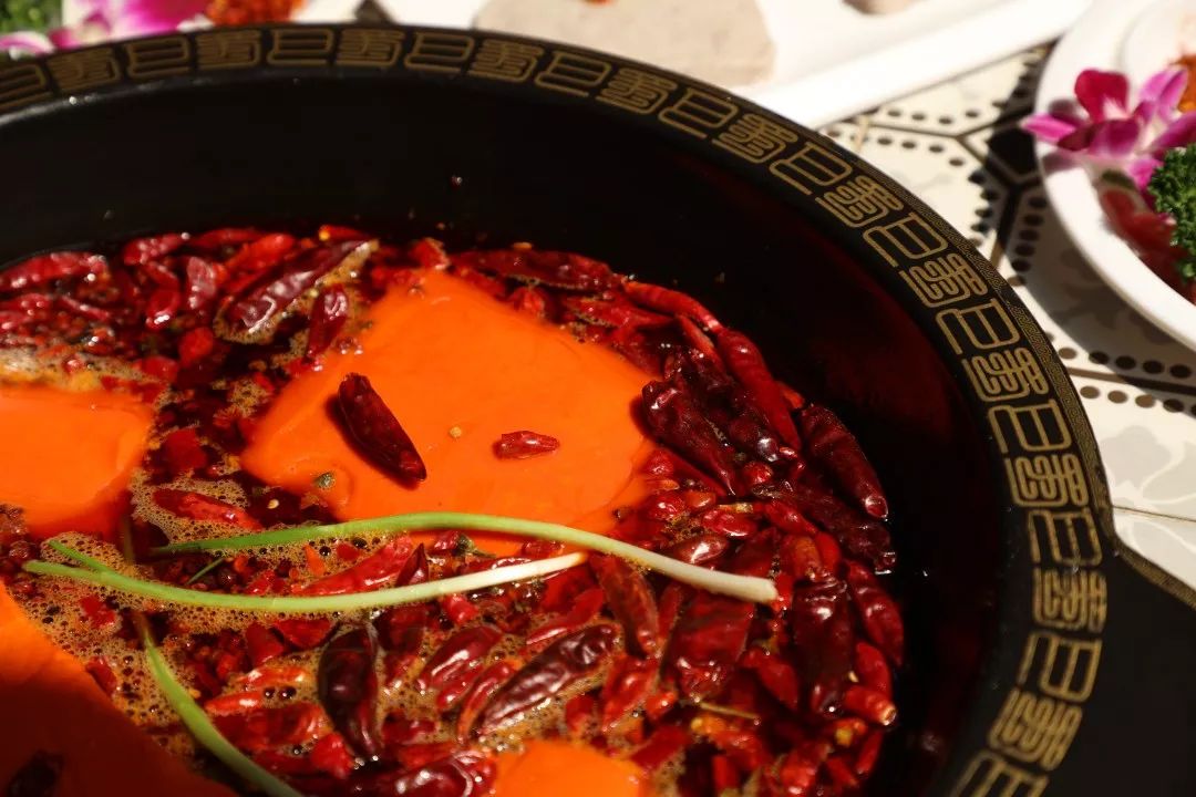 沈公子买单什么梗,沈公子买单怎么样