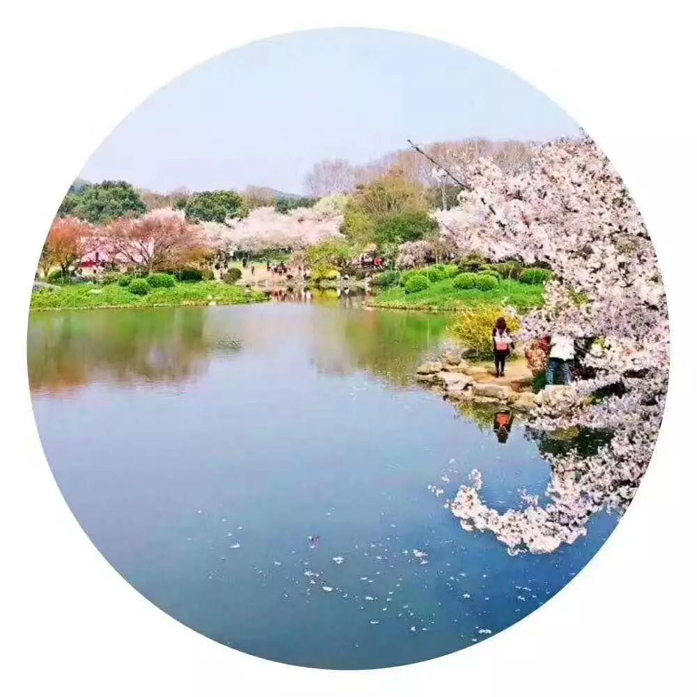 古诗词西江月遣兴,诗词西江月视频