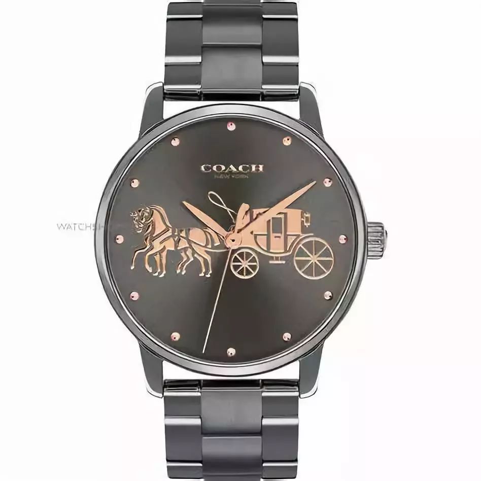 果壳上线知识短视频“吱扭”；爱奇艺与酷狗达成会员服务合作|「潮流DimSum」Vol.161