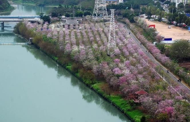 济南融创文旅城开业倒计时36天,广州花都融创文旅城c2区