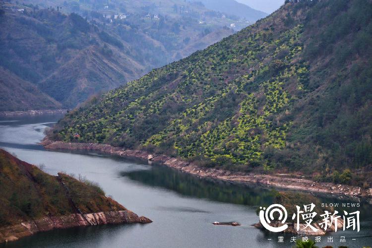 踏青赏樱花正当时,踏青赏景正当时