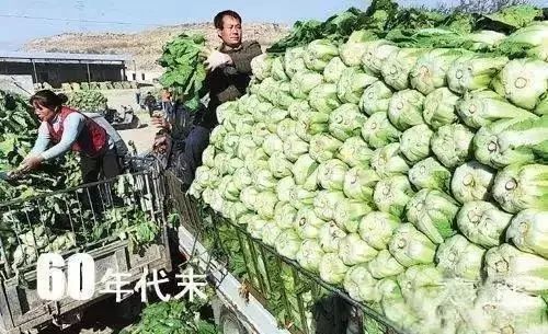 剁手｜10块钱在上海能干些什么？这些可能大家都想不到！