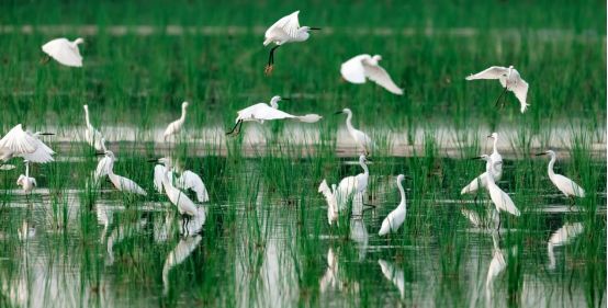 斗门为什么叫斗门,外地人眼中的斗门
