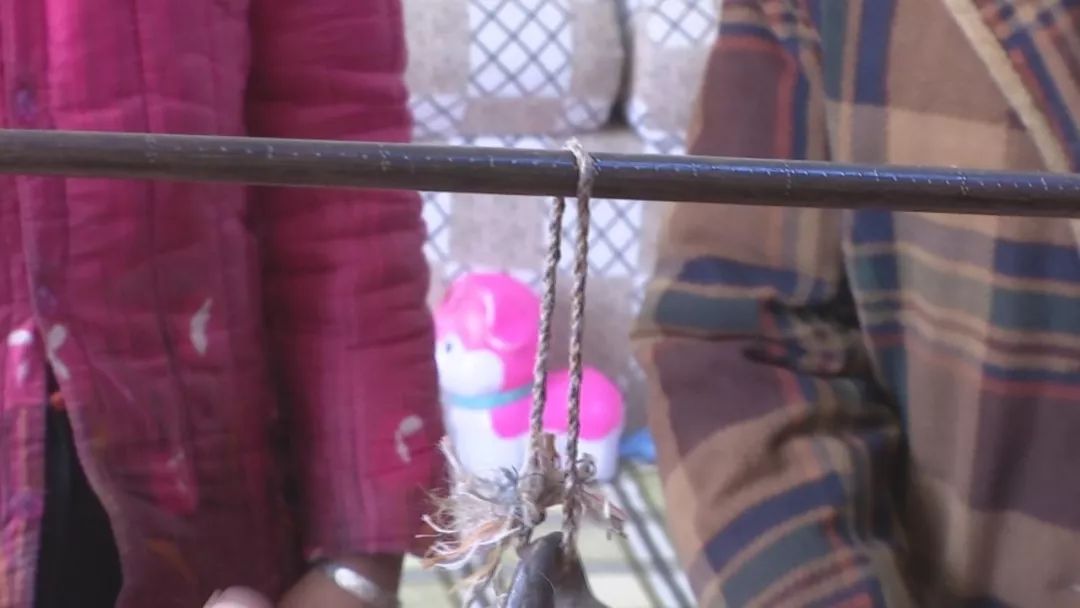 小伙捡到上亿的石太岁,山东小伙捡太岁