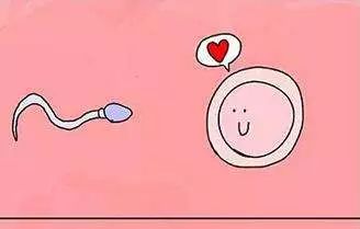 疼痛？渗液？全方位解析取卵术！