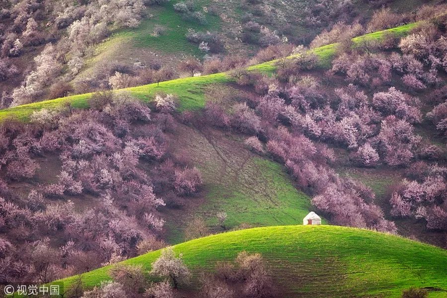 最适合清明旅行的20个地方,清明小长假适合哪里旅游