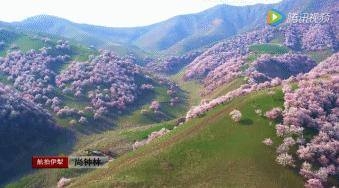 最适合清明旅行的20个地方,清明小长假适合哪里旅游