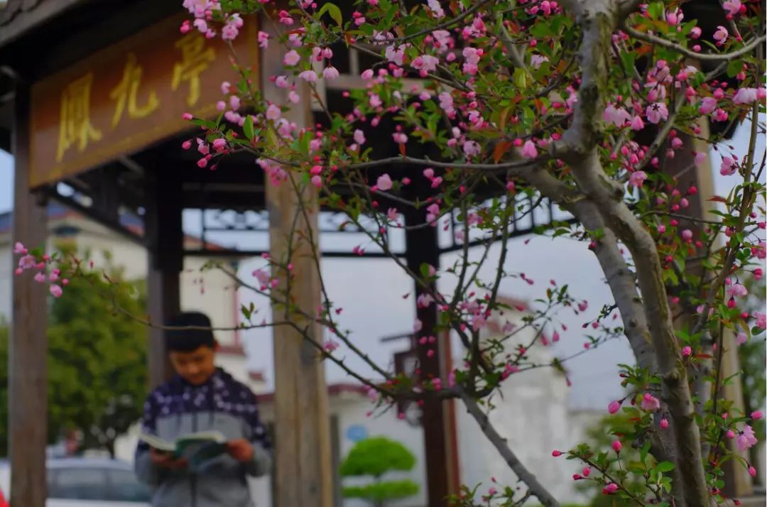 枞阳摄影师,枞阳拍照写真