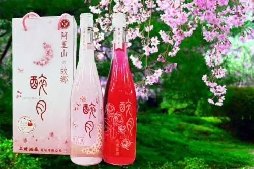 又是一年樱花季原文,又是一年樱花季完整视频