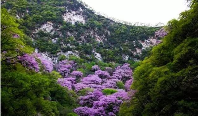 旅游攻略清明小长假,清明小长假你的旅游清单定好了吗