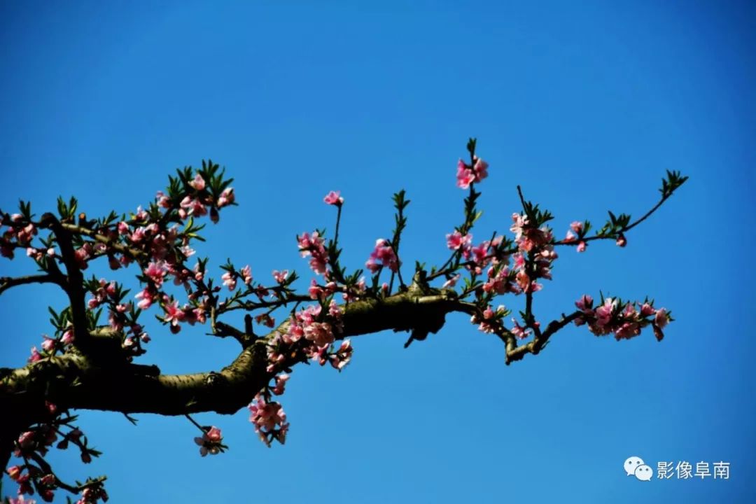 唯美视觉影像,影像的意境与情怀