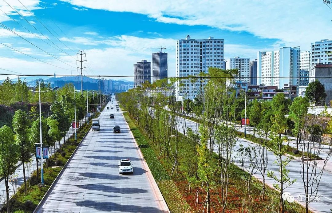 哇家玉溪是个大花园!处处可赏花,步步皆是景!