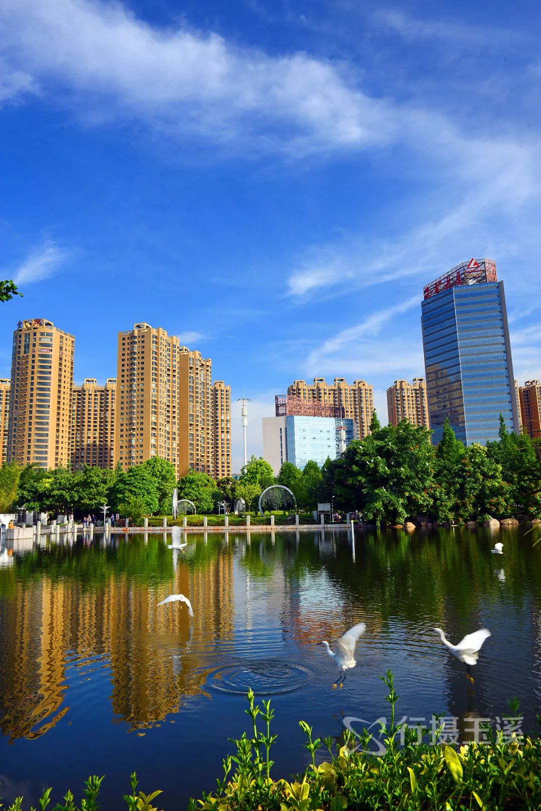 玉溪赏花游玩好地方推荐胜地,哇家玉溪