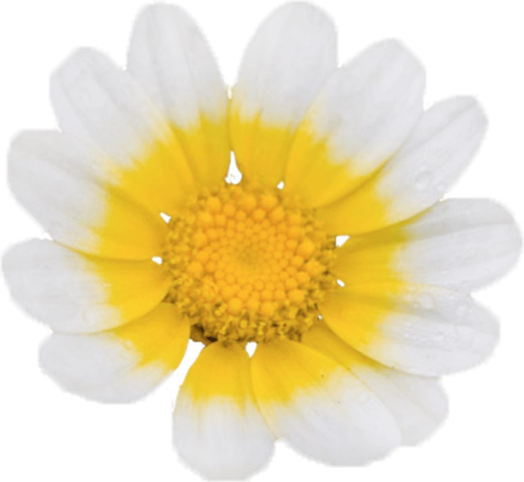 夜读女人最经典的一段话,夜读深度好文女生