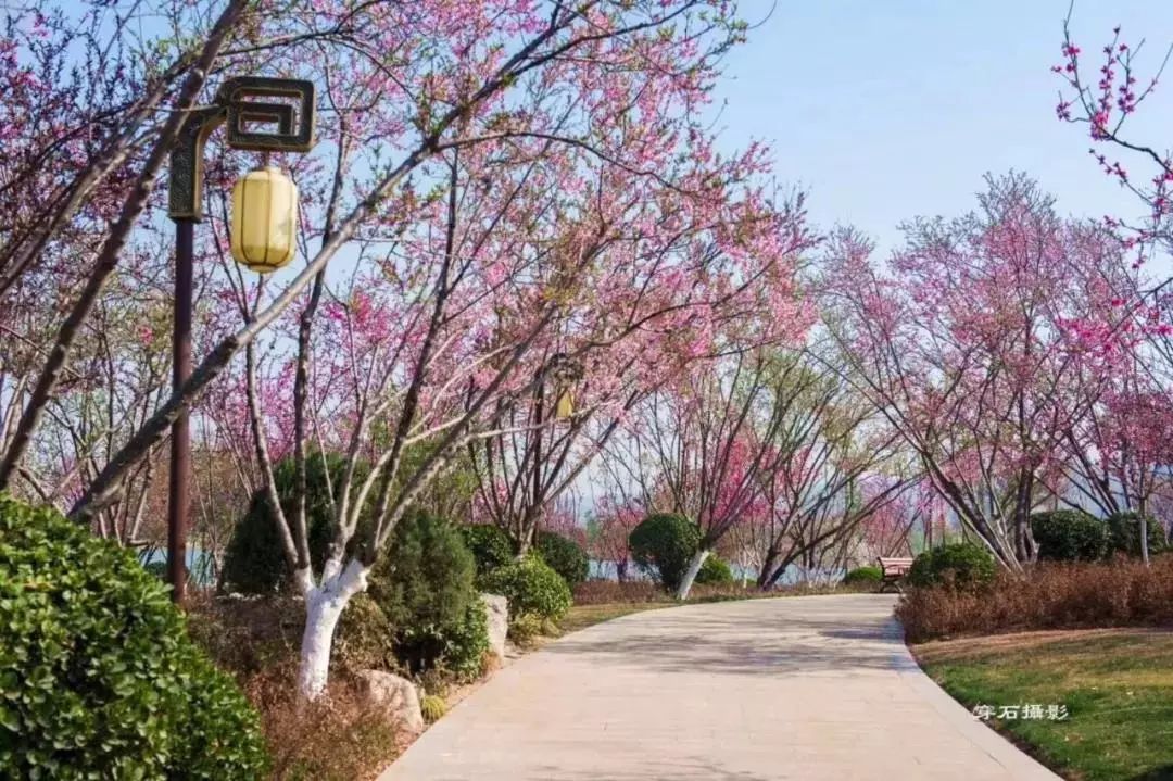 最美人间四月天去哪里旅游,最美人间四月天正是出游好时节