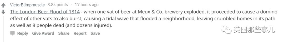 棕熊参军打仗，猫咪击败一支*队军**...真实的历史故事比小说脑洞更大