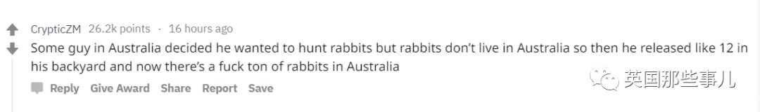 棕熊参军打仗，猫咪击败一支*队军**...真实的历史故事比小说脑洞更大