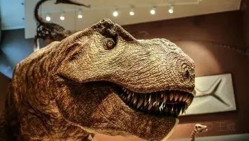 上海魔都景区,上海魔都必去景点免费