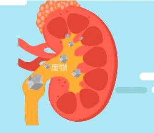 【名医】“我”是你的肾！最讨厌你吃太咸、熬夜……