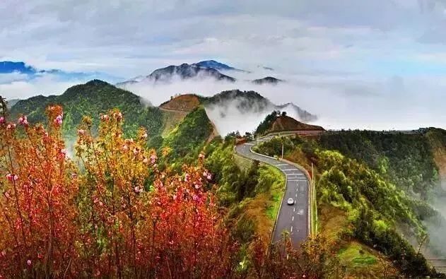 助力家乡发展旅游,助力家乡旅游业发展