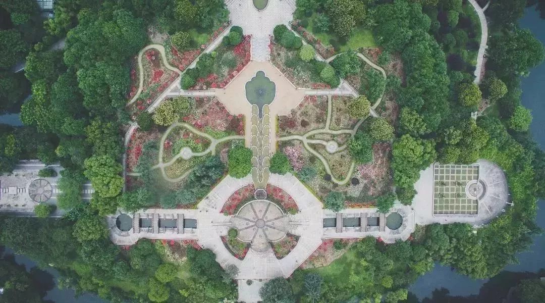 再也不羡慕别人家的果园,再也不用羡慕人家种的花