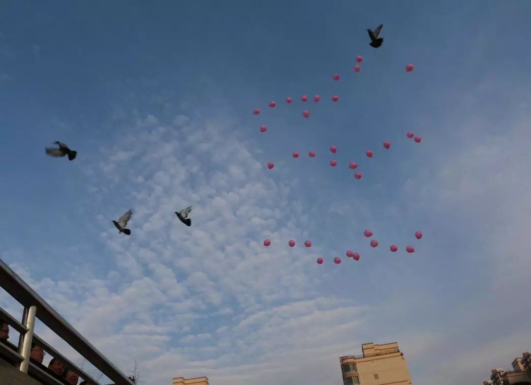 定格精彩瞬间彰显体育精神,丹棱中学60届田径运动会精彩瞬间