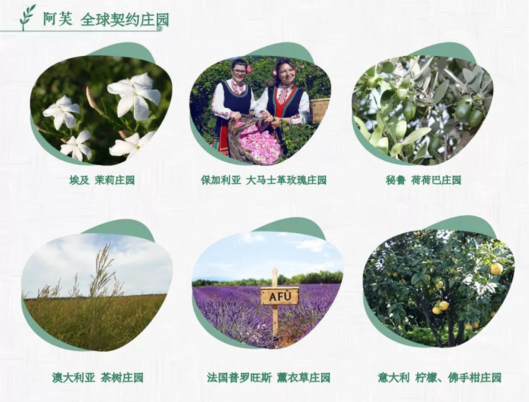 防晒乳特价,防晒团购