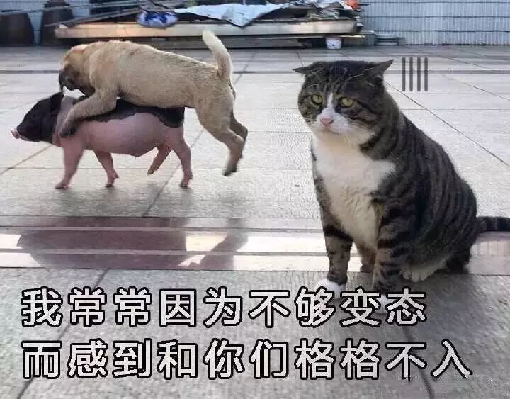 男人味是什么气味,男人味到底是什么味听00后说