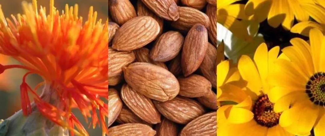 最好的口腔神器,好的去牙黄神器推荐