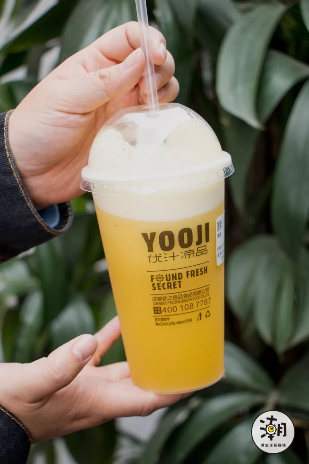 茶与布朗餐饮,茶与布朗加盟店