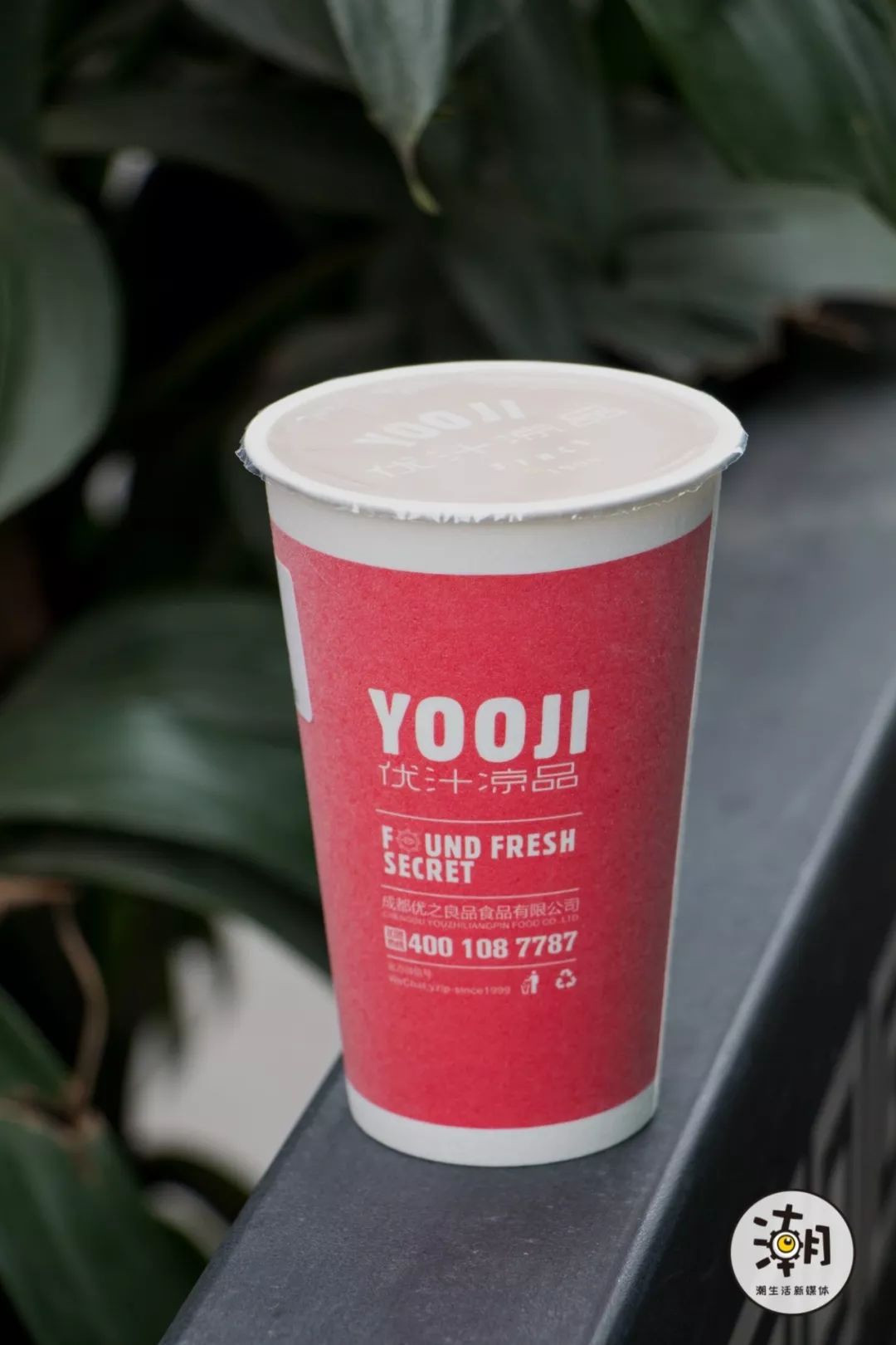 16年避风塘最火的奶茶,茶与布朗奶茶