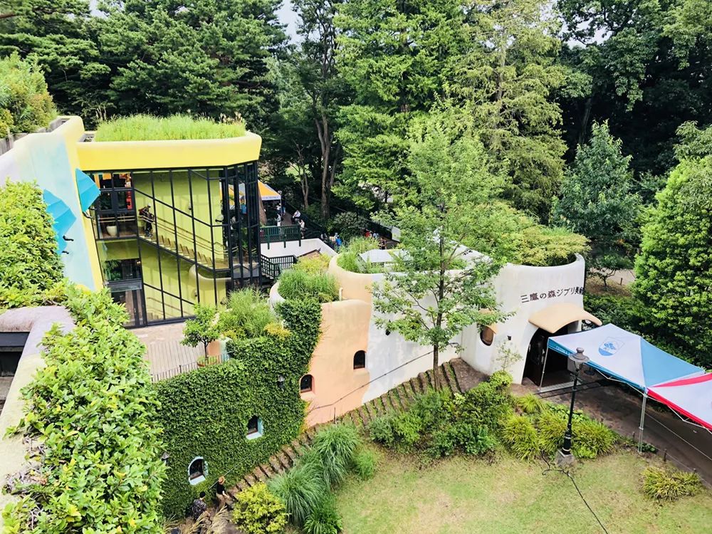 招募丨2019暑期精品小团，蒲蒲兰带你去见宫西达也！