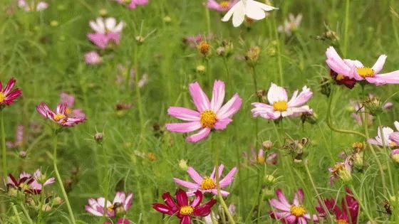 入住东南亚风情酒店！双人自助早餐+逸咖双人套餐！最低只要…