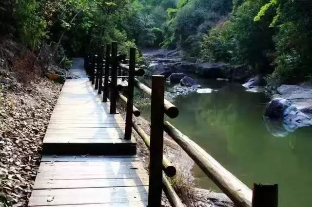 京闽中心酒店双人自助早餐81.8元,东南亚风情酒店自助早餐