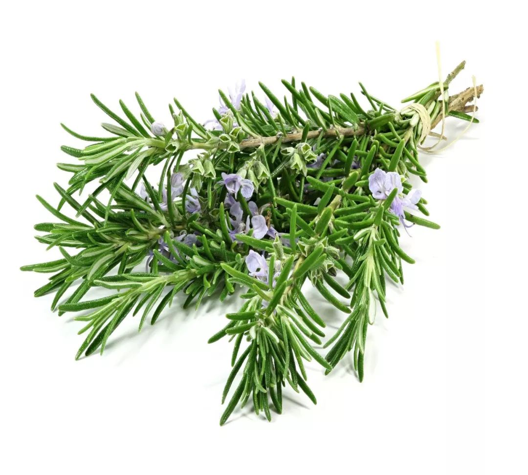 新西兰深度睡眠喷雾,新西兰深睡眠喷雾