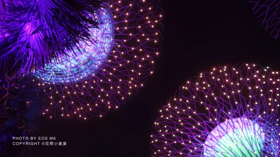 真香原版图片大全,新加坡图文旅游攻略