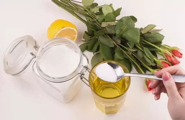 过期药片可以直接放在花盆里吗,过期药片放在花盆里怎么办