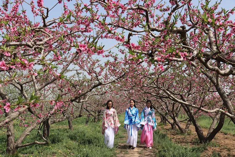 最美人间四月天去哪里旅游,最美人间四月天正是出游好时节