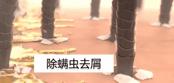 团|你的头发一根都不许掉!用它,还能3天不洗头依然干爽不油腻