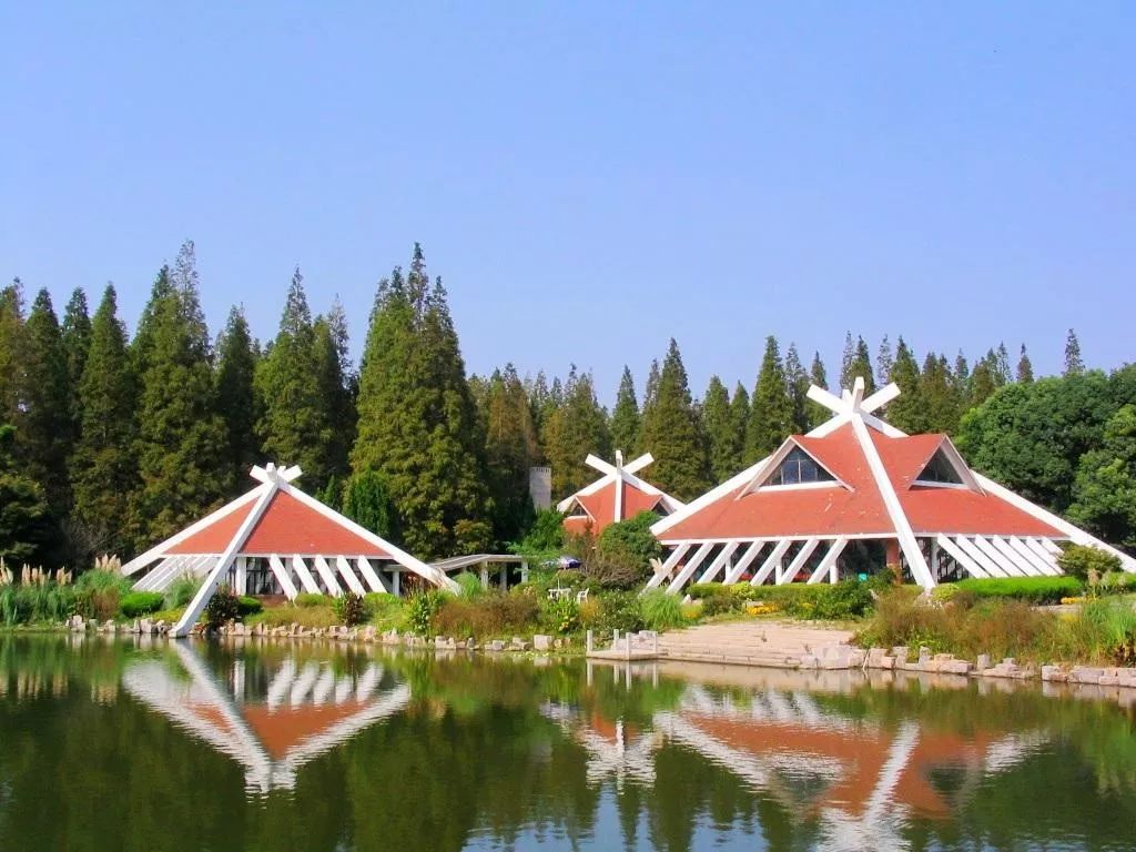 上海魔都景区,上海魔都必去景点免费