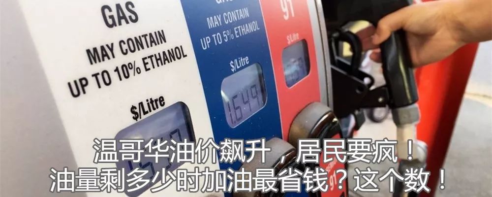 中国式蹲坑席卷温哥华！我们蹲个厕所，怎么就被蹲成了上亿的生意？